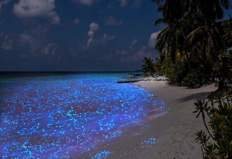 5 Hidden Gems in Maldives That You Need to Visit